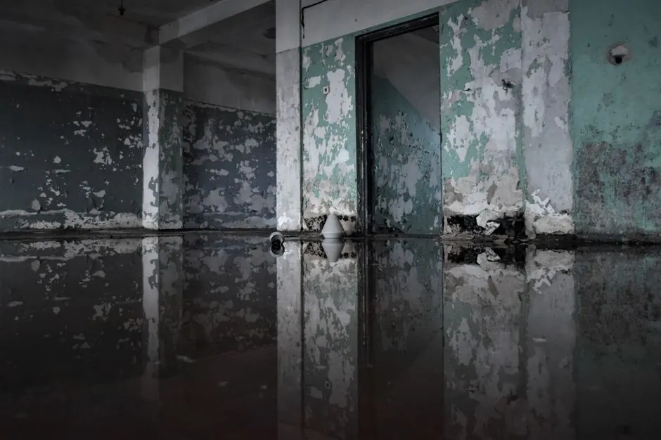 Basement Flooding Recovery